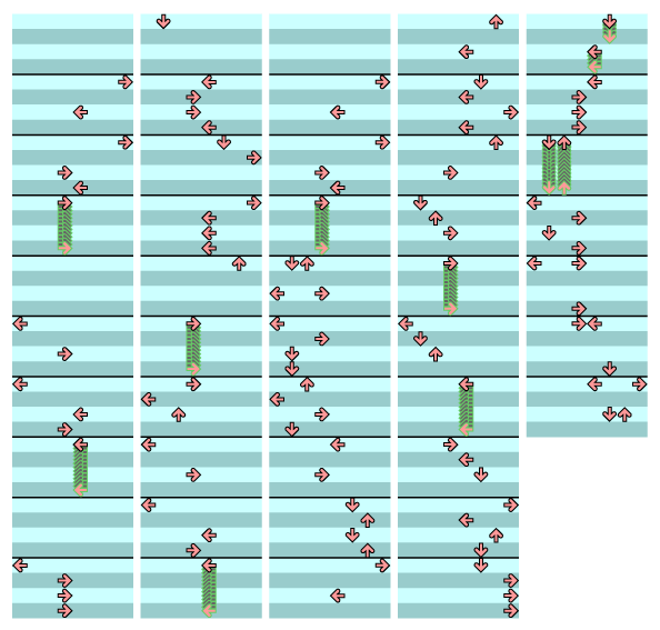 8 PANELS BASIC cachaca